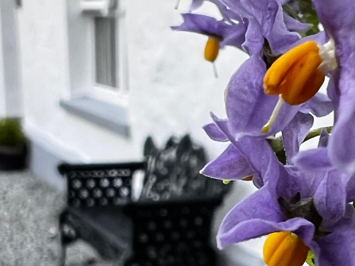 No 4 Old Post Office Row Isle Of Skye - Book Now! Villa Eyre Exterior photo