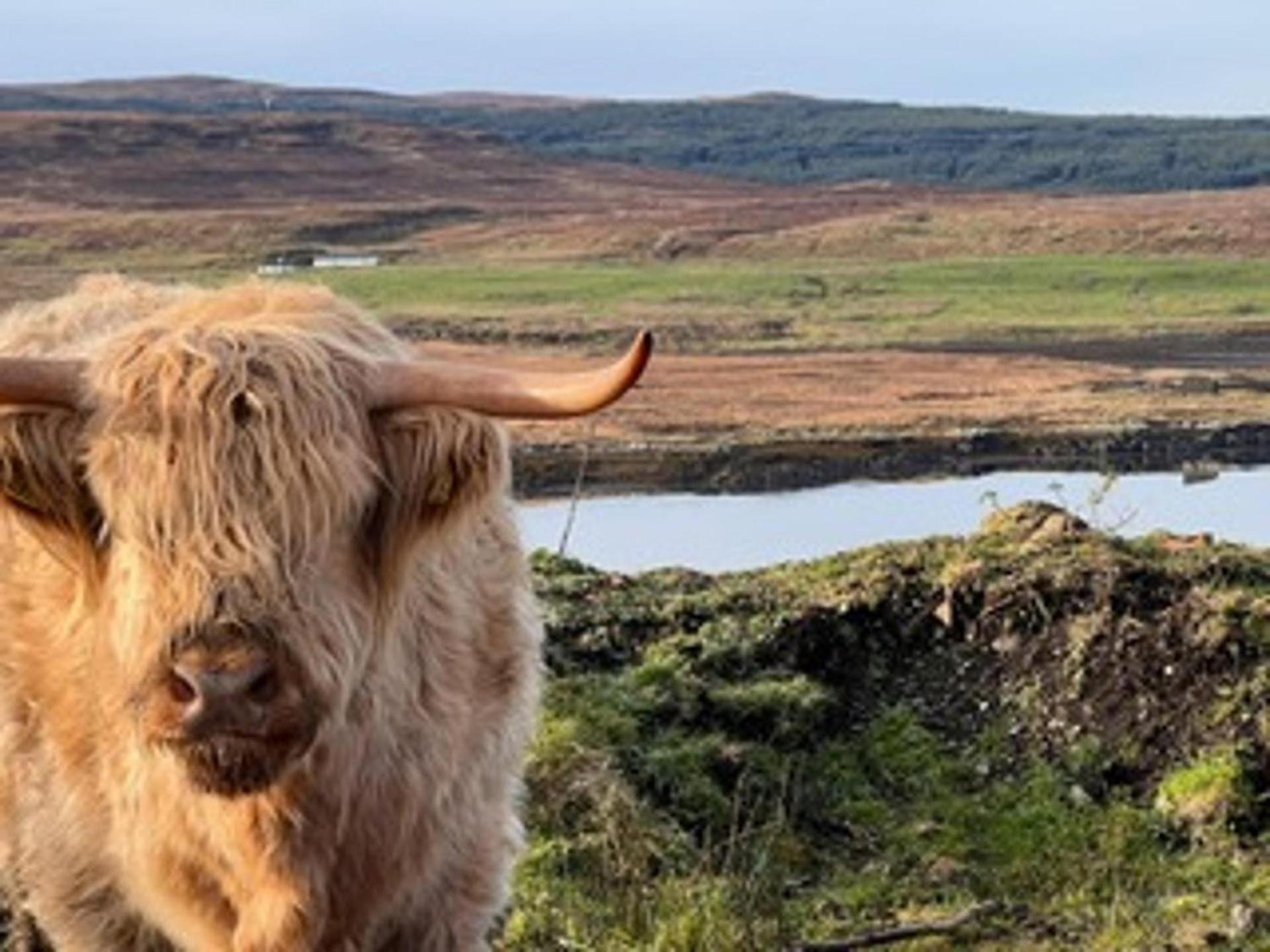 No 4 Old Post Office Row Isle Of Skye - Book Now! Villa Eyre Exterior photo